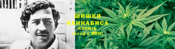 стаф Балахна