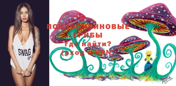 СК Алзамай