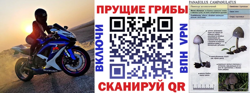 Галлюциногенные грибы Magic Shrooms  KRAKEN ссылка  Покров 
